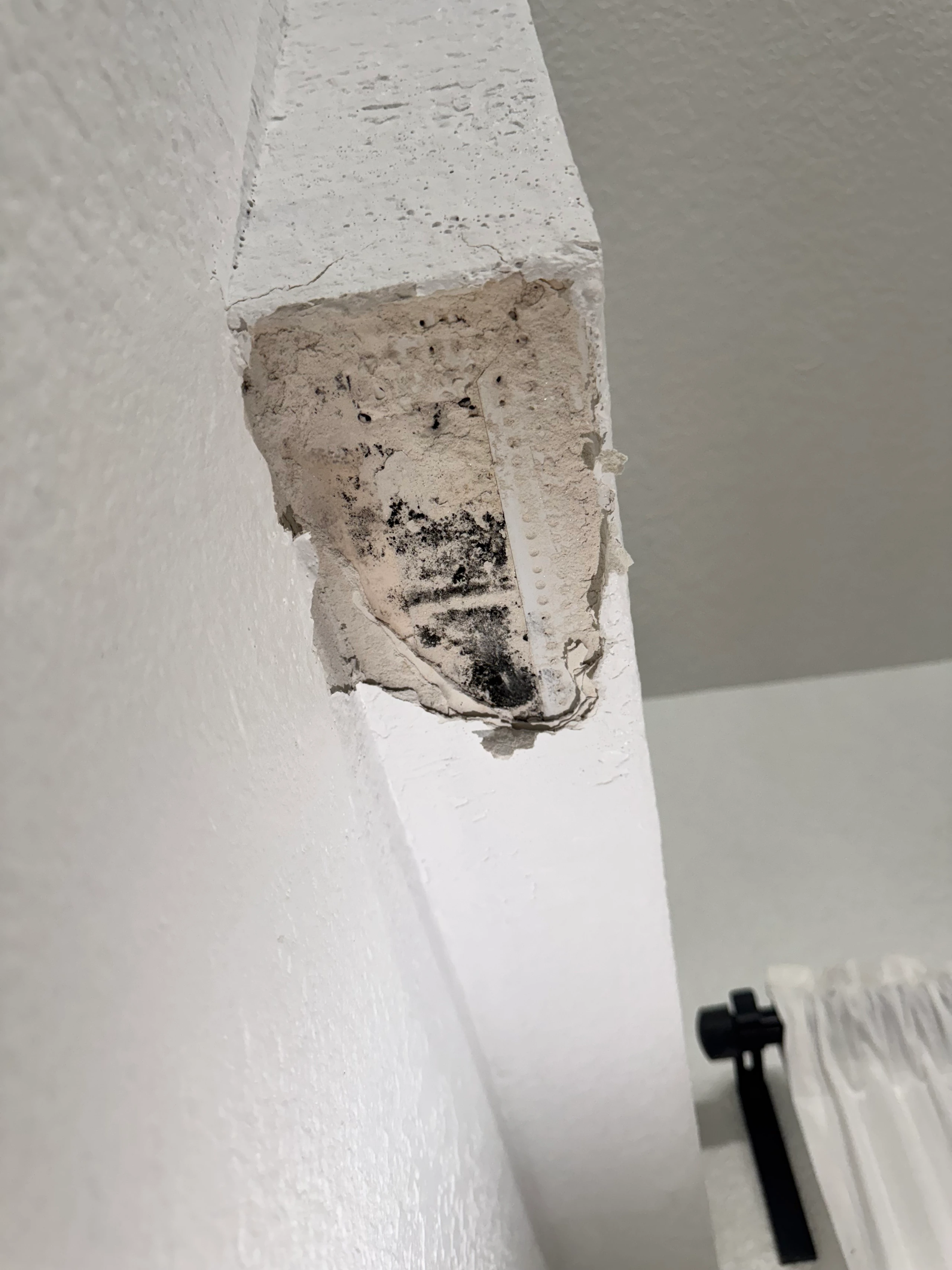 Heavy black mold growth on Airbnb living room wall where ceiling meets drywall