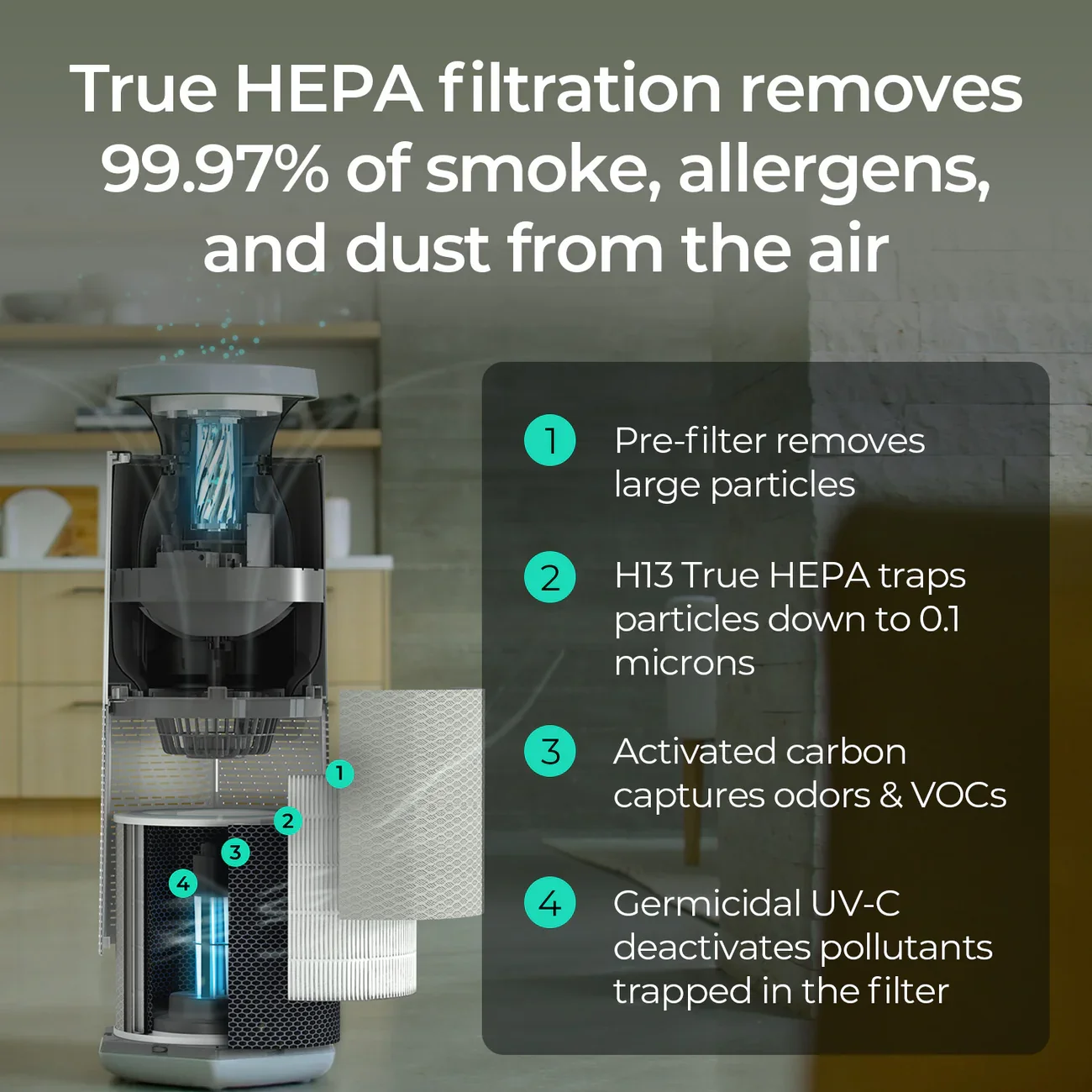 Puraclenz air purifier for mold recovery