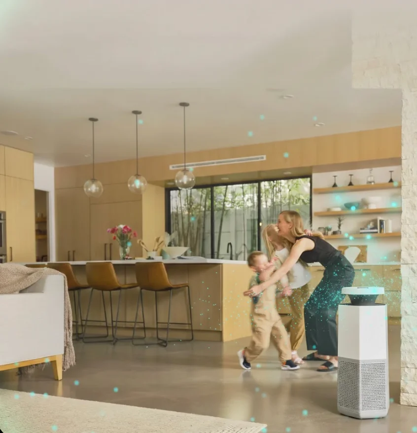 Air purification for mold recovery